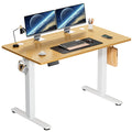 Electric Adjustable Standing/Sitting Desk Workstation